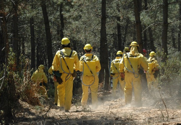 Efectivos de la lucha contra incendios desarrollan labores preventivas en Castilla-La Mancha. // Foto: Efe.